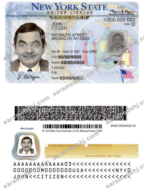 USA New York driving license